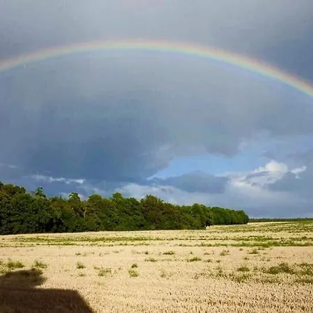 Seensucht Prázdninový dům Göhren-Lebbin
