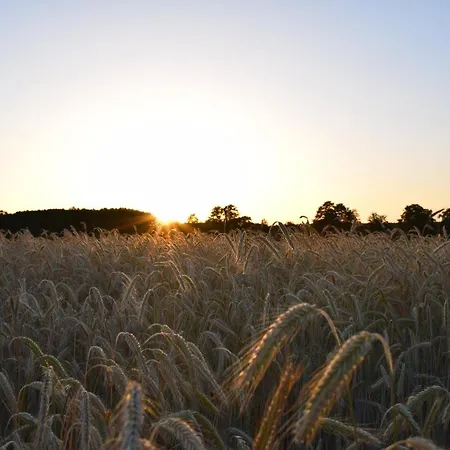 Seensucht Prázdninový dům *